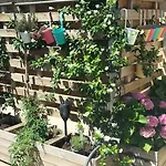 Studio pour location vacances a la semaine AVIGNON