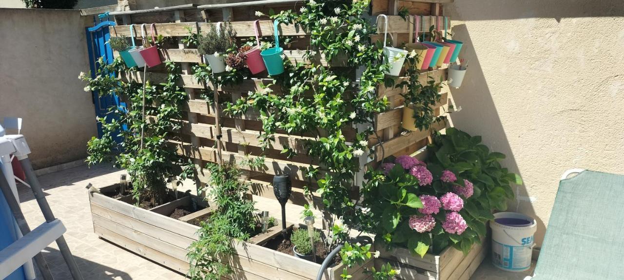 Pour Location A La Semaine Avignon